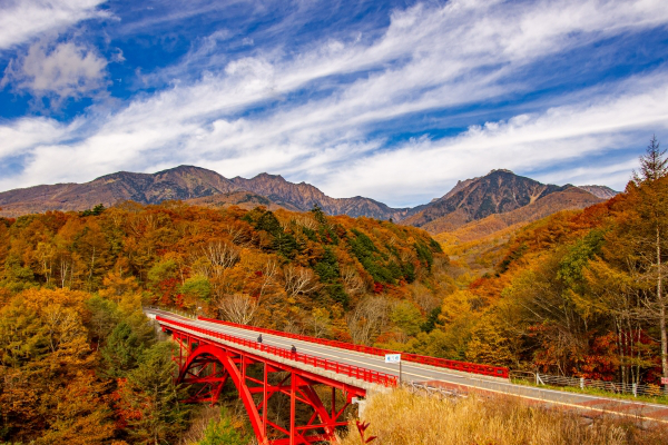 八ヶ岳高原ライン-600×400.png