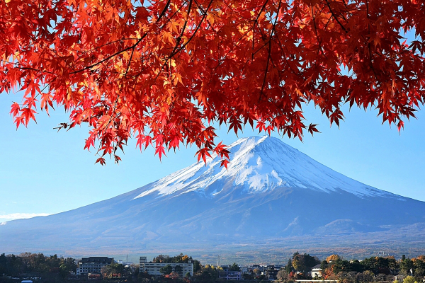 富士山周辺-600×400.png