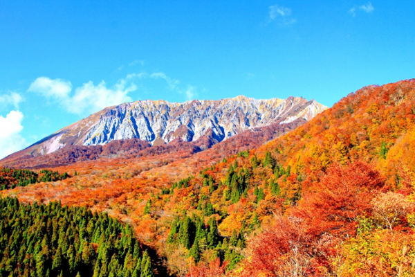 蒜山大山スカイライン-600×400.png